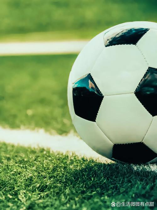 体育数据分析师工作场景